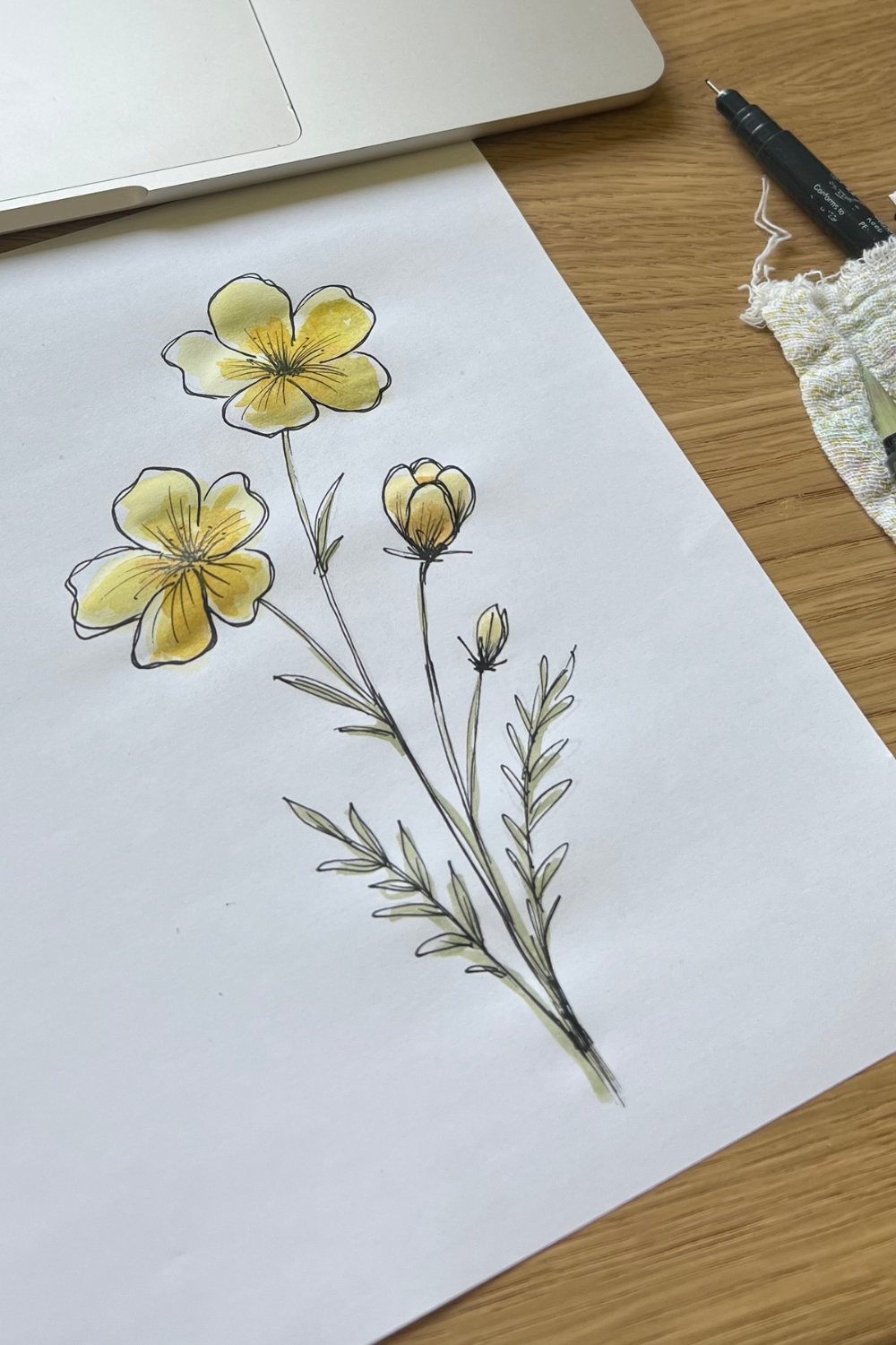 Butterblume-zeichnen-anfänger Butterblume zeichnen mit Fineliner für Anfänger