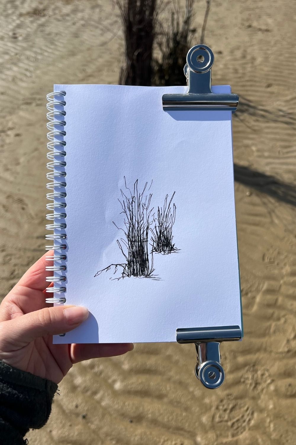 zeichnen-am-strand Strandgras im Wattenmeer zeichnen, Zeichnen am Meer